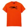 Heavy Cotton™ t-shirt Thumbnail